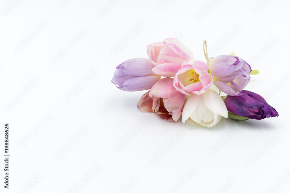 Bouquet with seven pastel colored tulips on white background 