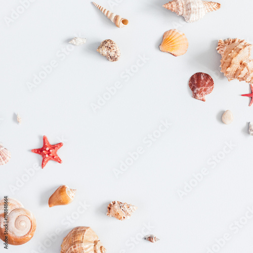 Sea shells on gray background. Summer concept. Flat lay, top view, square, copy space