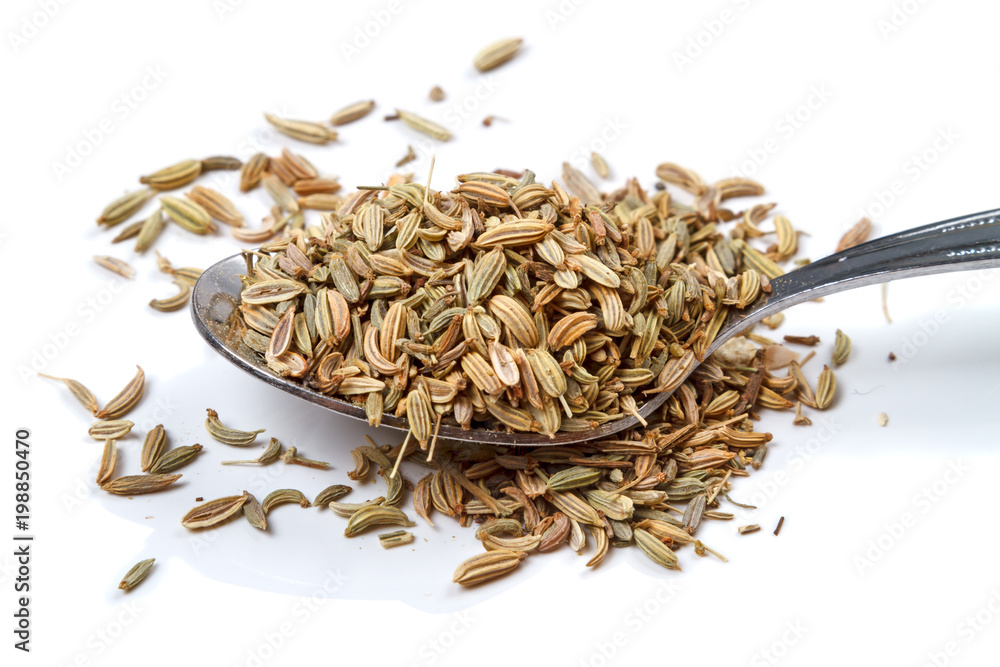 Seeds of fennel in a spoonful Seeds of fennel in a spoonful