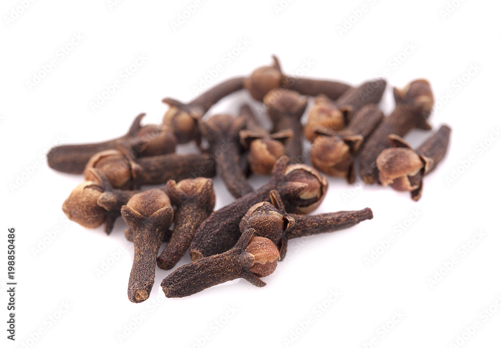 dry cloves on white background dry cloves on white background