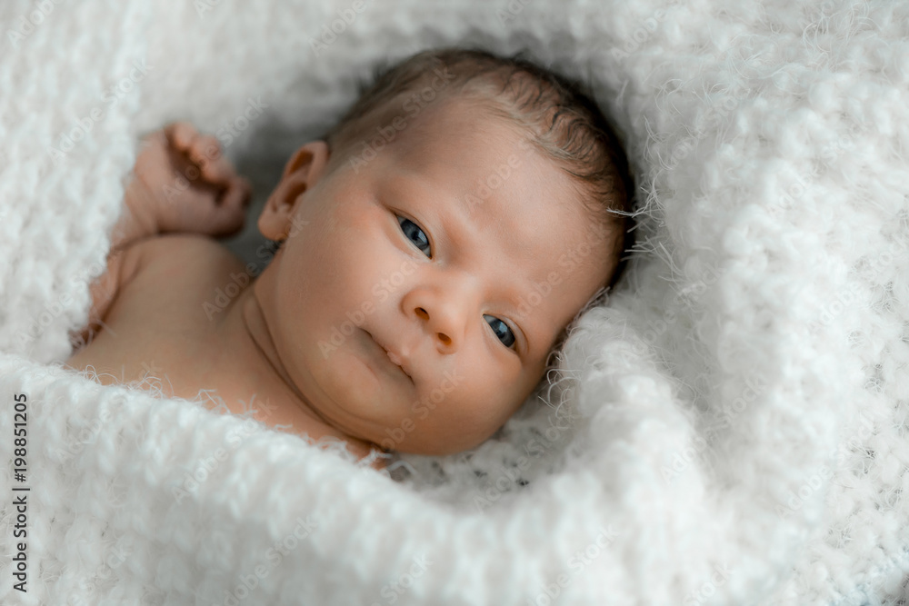 portrait of a newborn on white plaid. portrait of a newborn on white plaid.