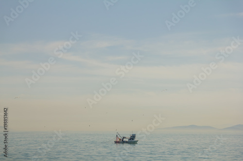 fishing boat on the Bosporus,surrounded by seagulls in Turkey