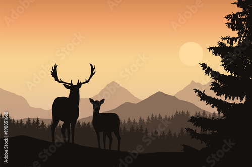 Deer and hind in a mountain landscape with coniferous forest and trees, under the morning sky with the rising sun