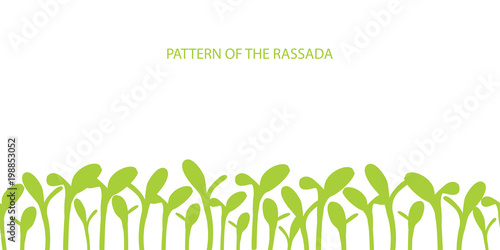 Patterns of seedlings. Crop production. Growing vegetables. Sowing gardening. Growth of plants. Vector.