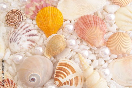 White pearls and seashells on stones background