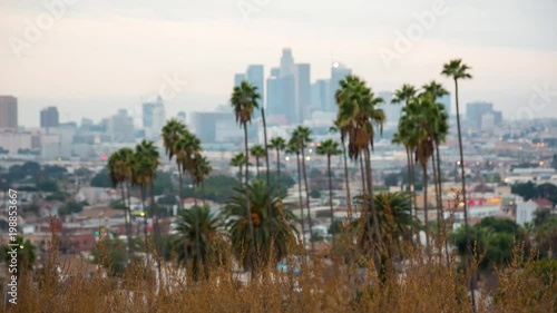 Wallpaper Mural Los Angeles sunset view with palm tree and downtown in background. California, USA Torontodigital.ca