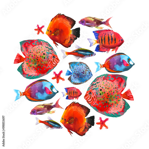 tropical fish watercolor