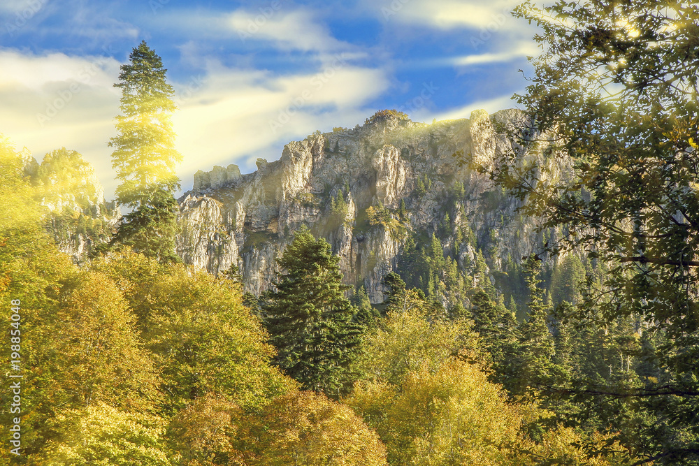 beautiful forest landscape with views of the rocky mountains on a blue sky background