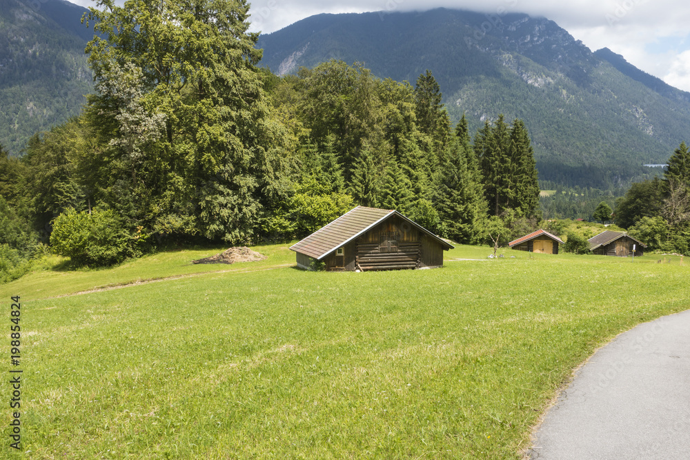 Obraz premium Summer Meadow In Grainau, Germany