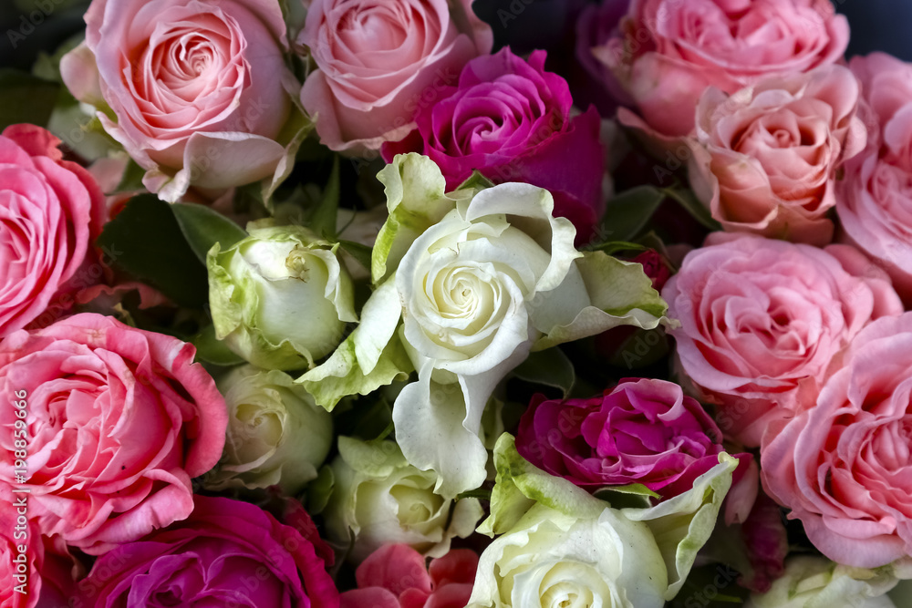 Bouquet of pink and white roses Bouquet of pink and white roses
