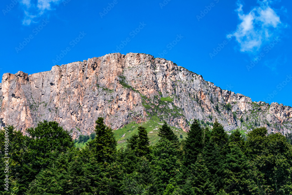 Mountain landscape with rocks and forest