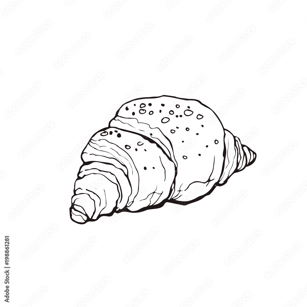 Hand drawn bread isolated on white background. Croissant icon vector illustration in sketch style.
