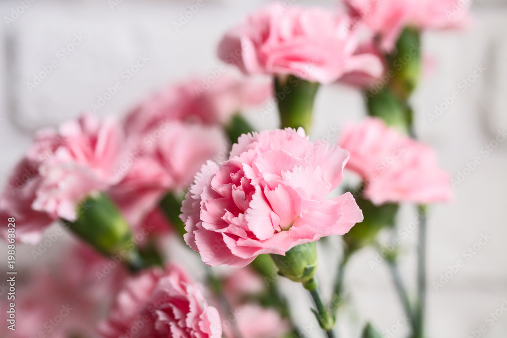 Obraz premium bouquet of pink spray carnations. Closeup. On white brick wall background