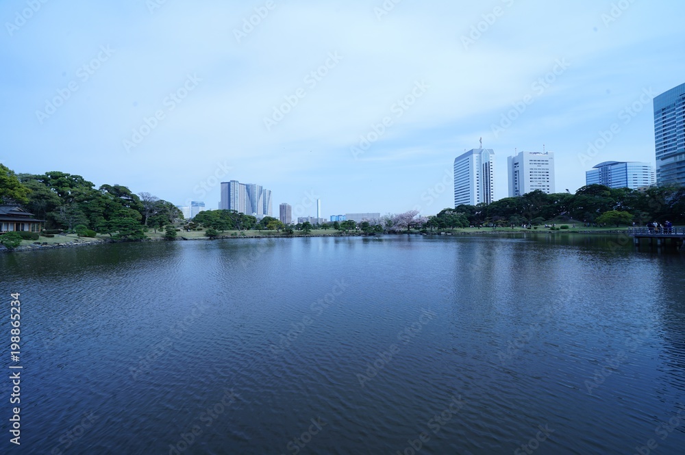 浜離宮庭園の春