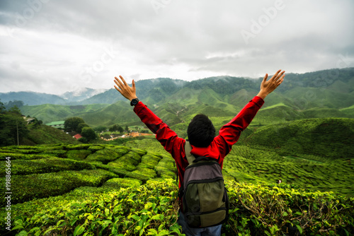 Photography Young asian backpacker traveling into tea fields with mist