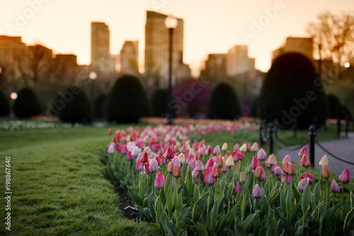 Boston Public Gardens