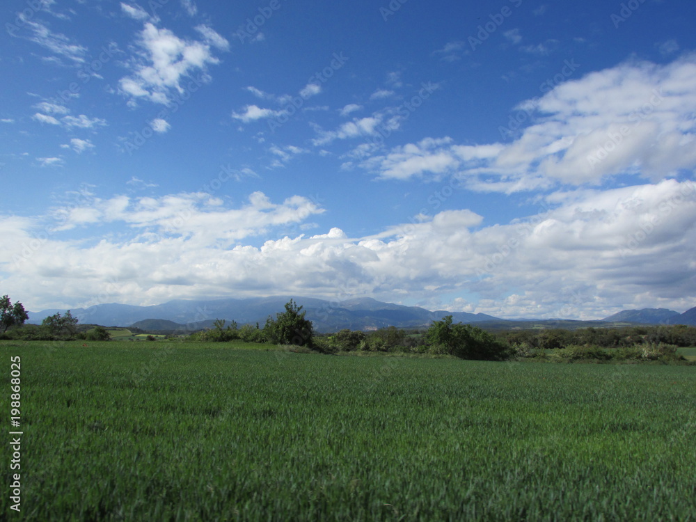 View to Pyrenees mountains, Spain