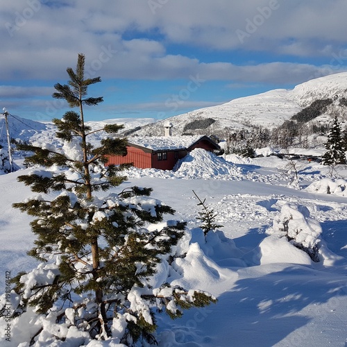 Kvamskogen Norway