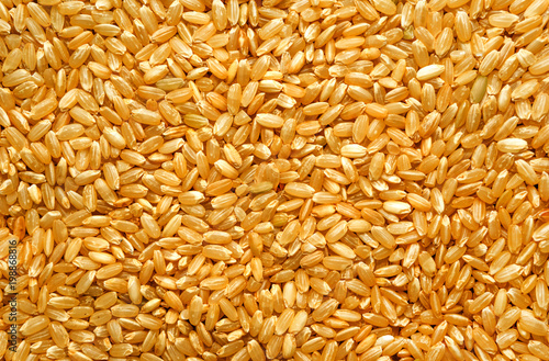 Brown rice background texture, yellow wild long grain natural rice, jasmine rice closeup
