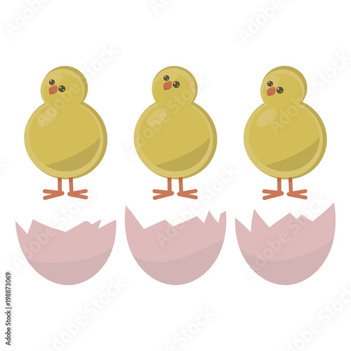three yellow round pot-bellied chicken on red legs with red bites and shiny black eyes with shell from eggs isolated on white background