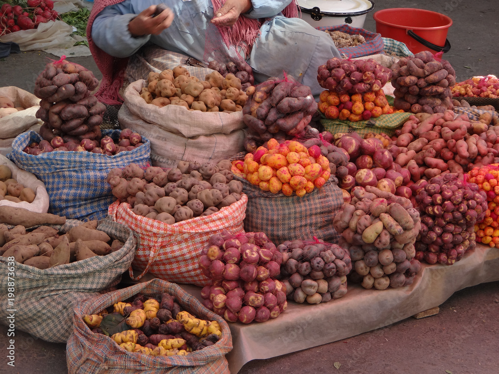 Potatoes in Bolivia, La Paz