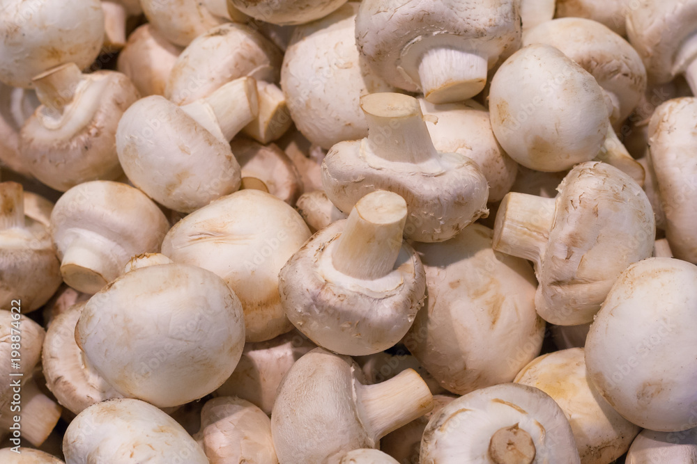 A pile of champignon mushrooms in the store as background, texture A pile of champignon mushrooms in the store as background, texture