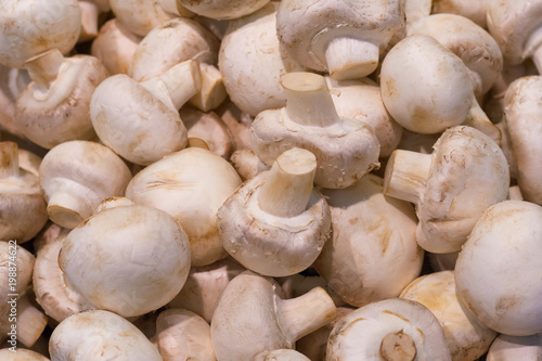 A pile of champignon mushrooms in the store as background, texture