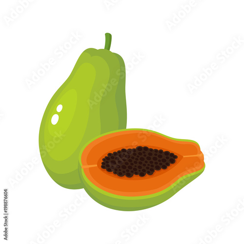 Bright vector illustration of fresh papaya isolated on white