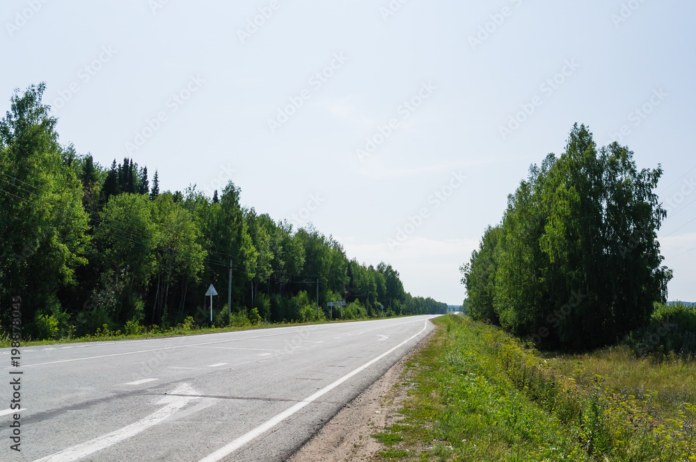Fototapeta premium Highway near the forest in summer