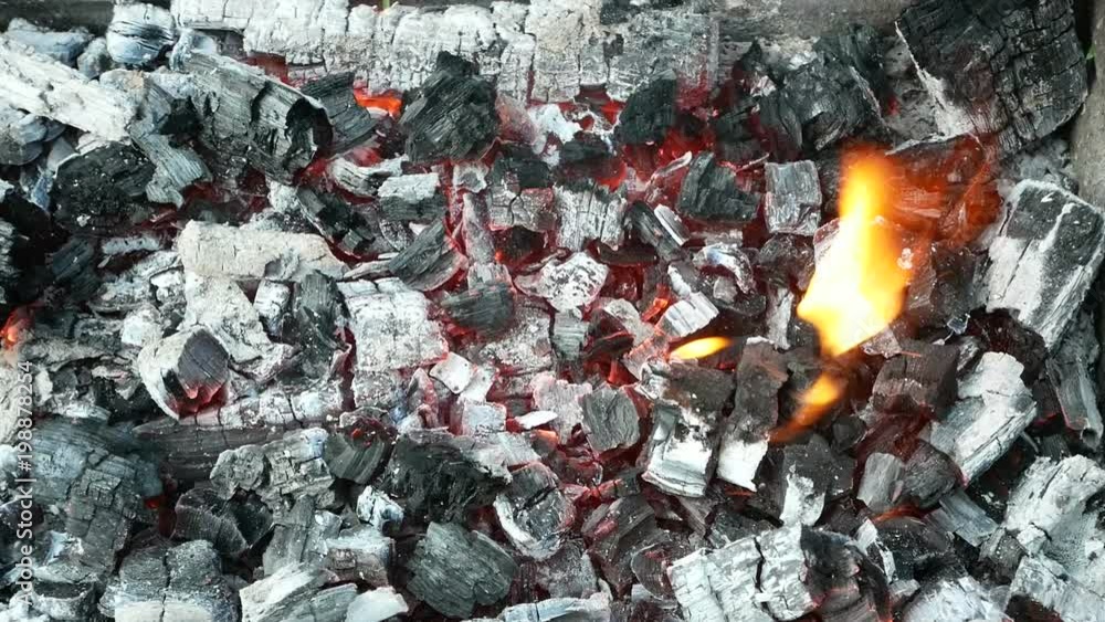 Breaking hot burnt charcoal by a wooden stick in a rusty metal tray outdoors over green grass, close-up Breaking hot burnt charcoal by a wooden stick in a rusty metal tray outdoors over green grass, close-up