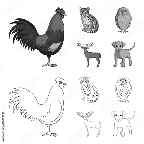Rooster, tiger, deer, owl and other animals.Animals set collection icons in outline,monochrome style vector symbol stock illustration web.