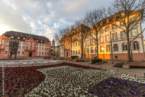 Blumenbeet am Schillerplatz in Mainz