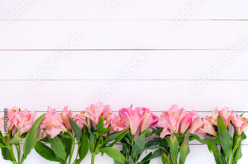 Beautiful pink alstroemerias on a white woodent planks as a background (top flat view, copy space)