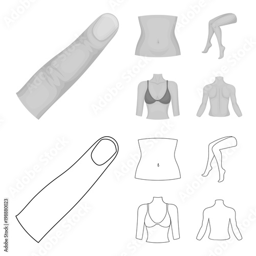 Finger, female feet, female, bust. Part of the body set collection icons in outline,monochrome style vector symbol stock illustration web.