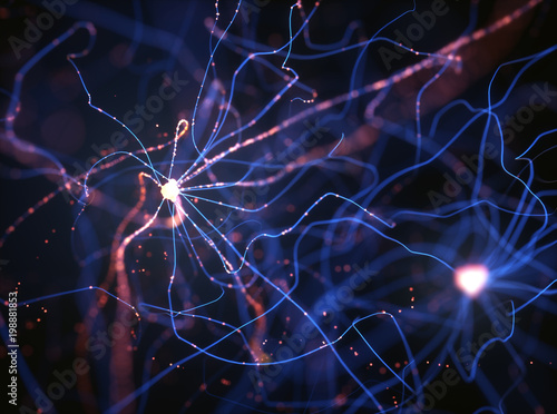 Obraz na plátne Neurons electrical pulses