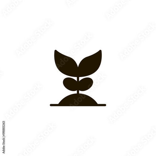 plant icon. sign design