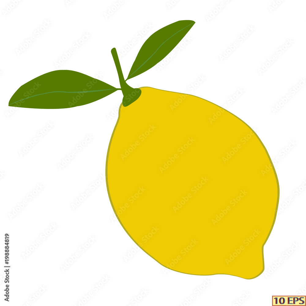 Fototapeta Cała cytryna na białym tle. Żółty owoc cytryny z bliska. Ilustracja wektorowa przepis, menu restauracji, projektowanie wnętrz kuchni.