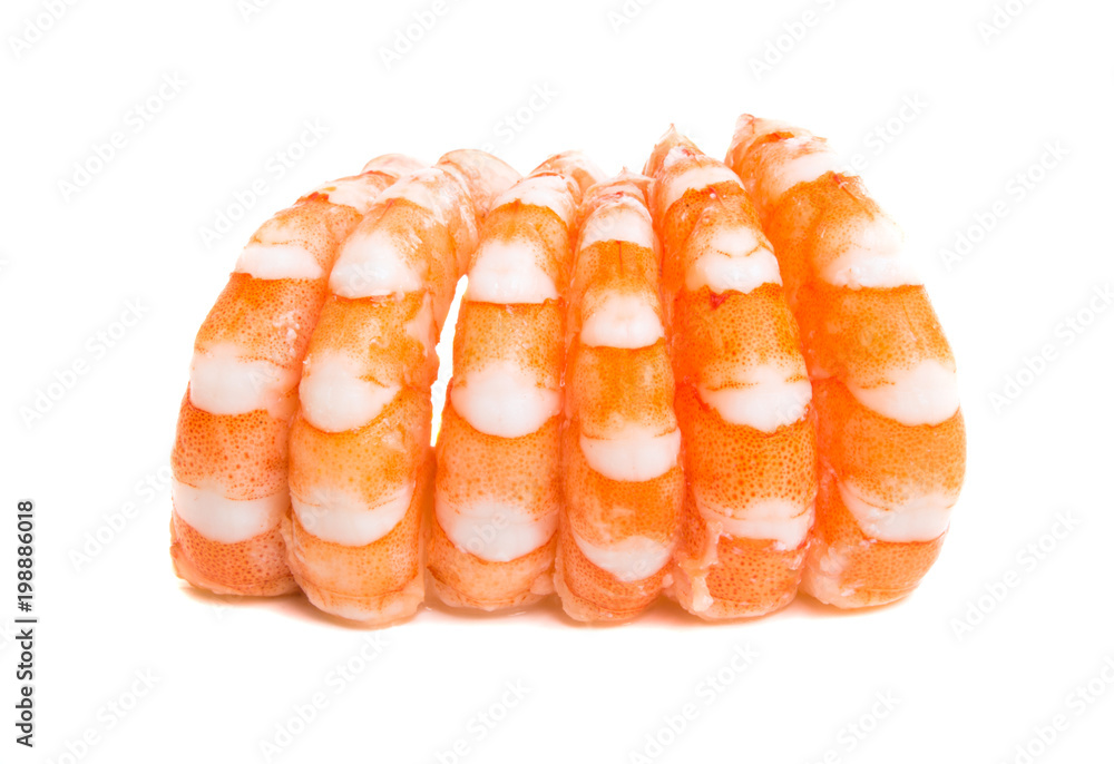 boiled shrimp isolated boiled shrimp isolated
