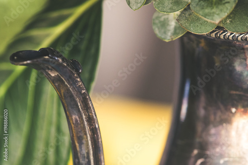 Vintage teapot holding dreamy flowers