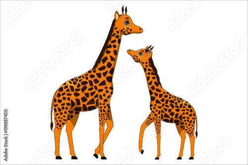 Family of cute cartoon giraffes