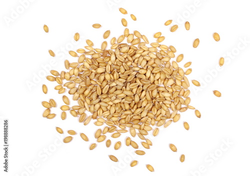 Wheat grain isolated on white background and texture, top view