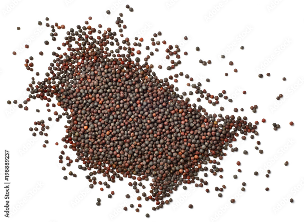 Naklejka premium dried canola seeds isolated on white, top view