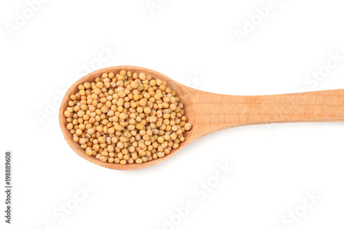 mustard seeds in wooden spoon isolated on white background. top view