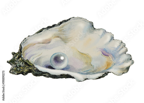 pearl in pearl shell