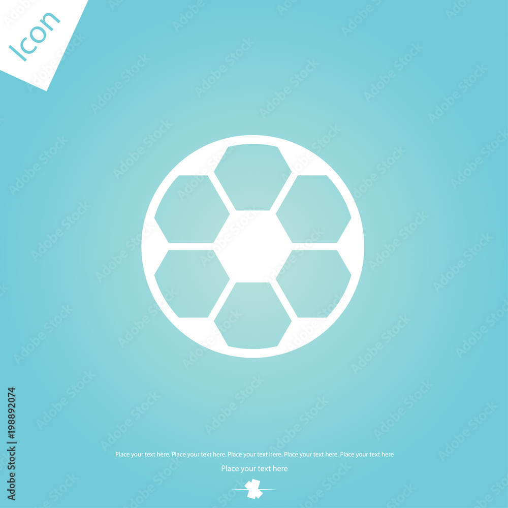Obraz premium Soccer ball vector icon