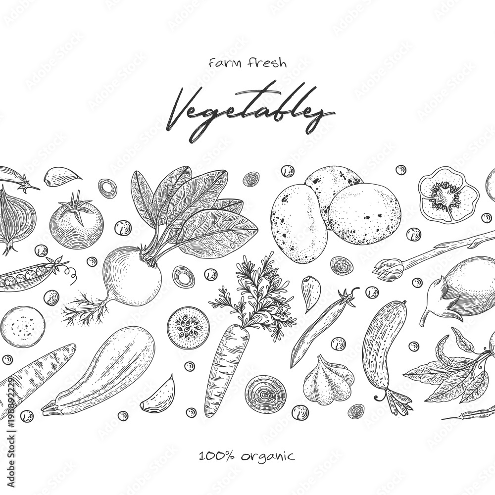 organic-food-design-template-fresh-vegetables-hand-drawn-illustration