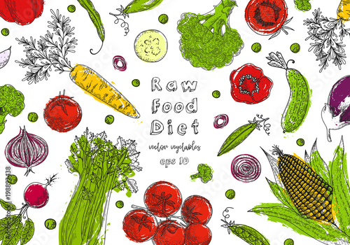 Organic food design template. Fresh vegetables. Detailed vegetarian food drawing. Farm market product. Great for label, design menu, recipes, poster, packaging design, wrapping paper.