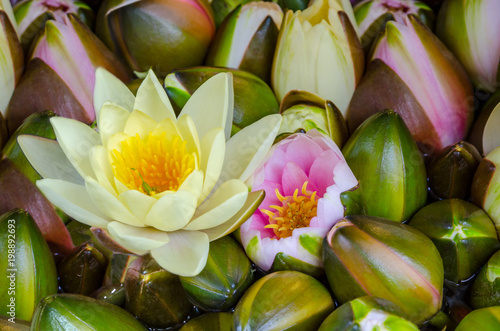 Beautiful  bouquet