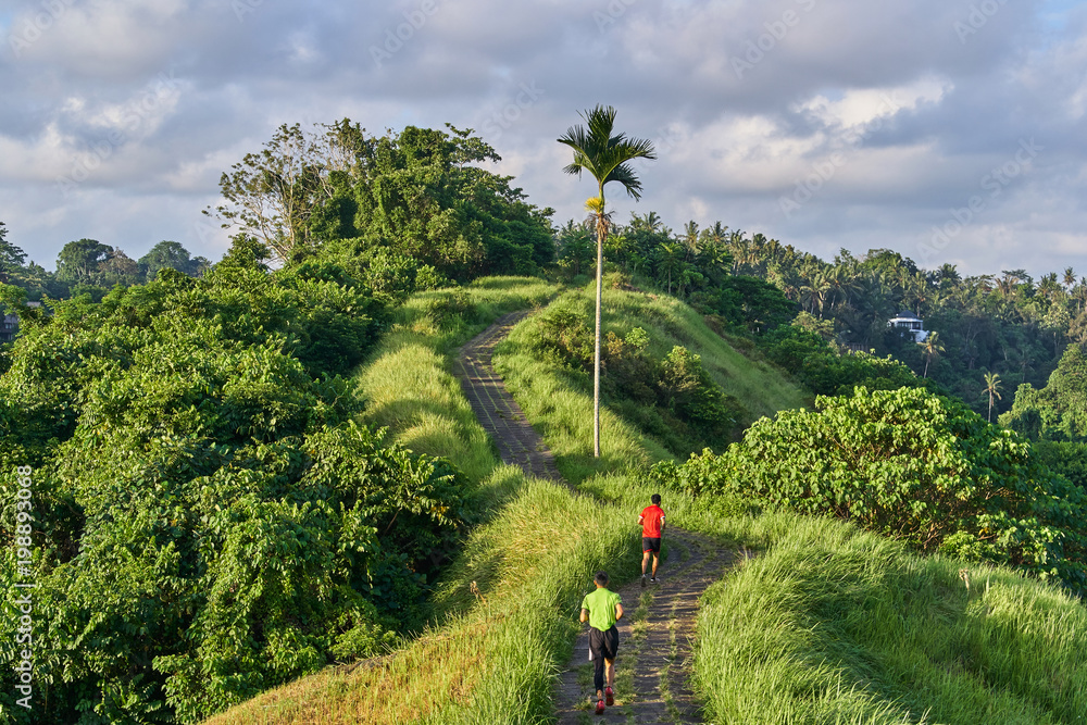 People are running on Campuhan Ridge Walk sacred trail, on Bali island, Indonesia