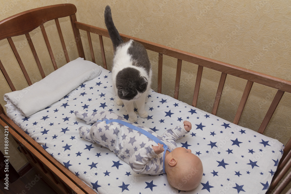Cat crib cover clearance